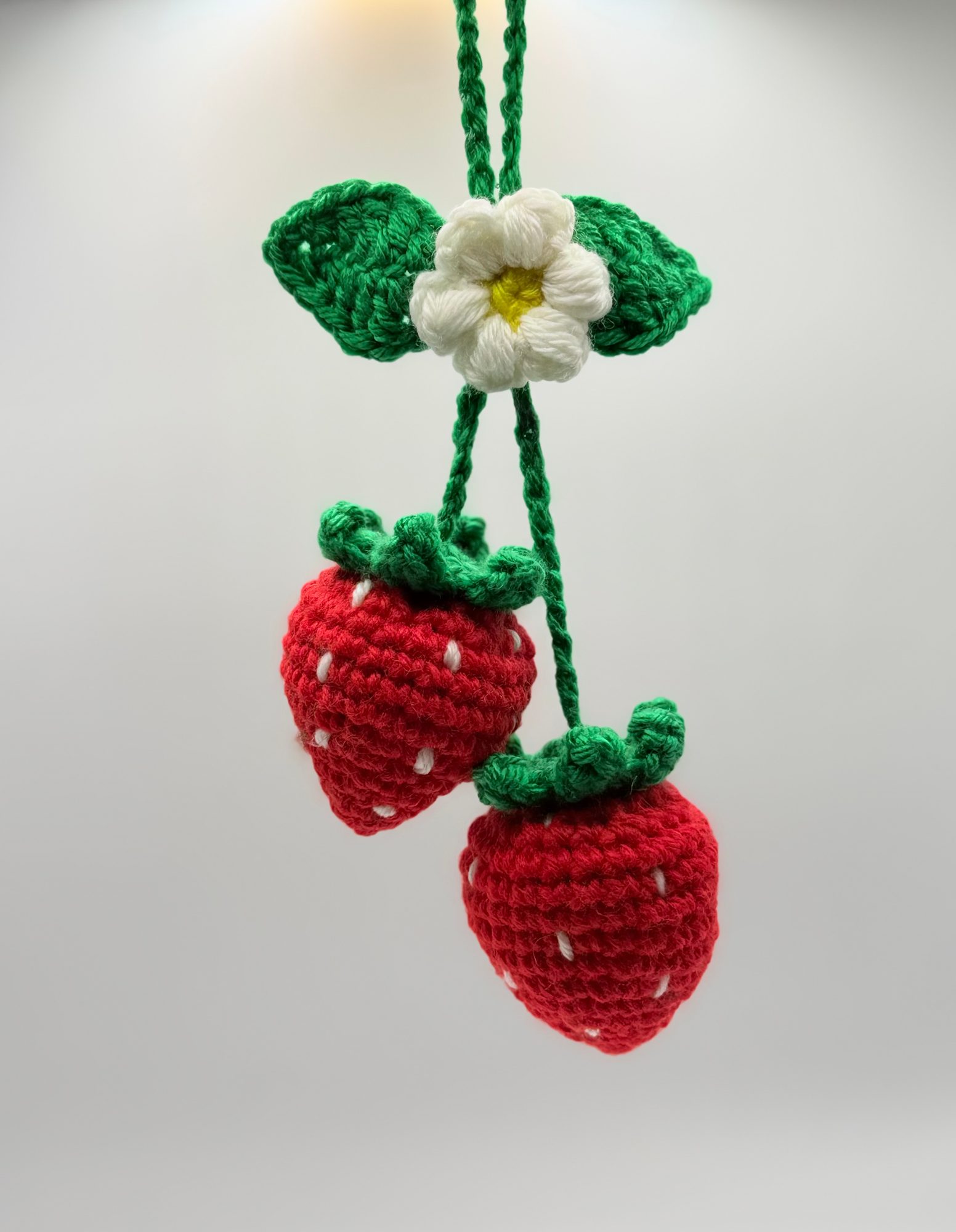 Fruit Hanger