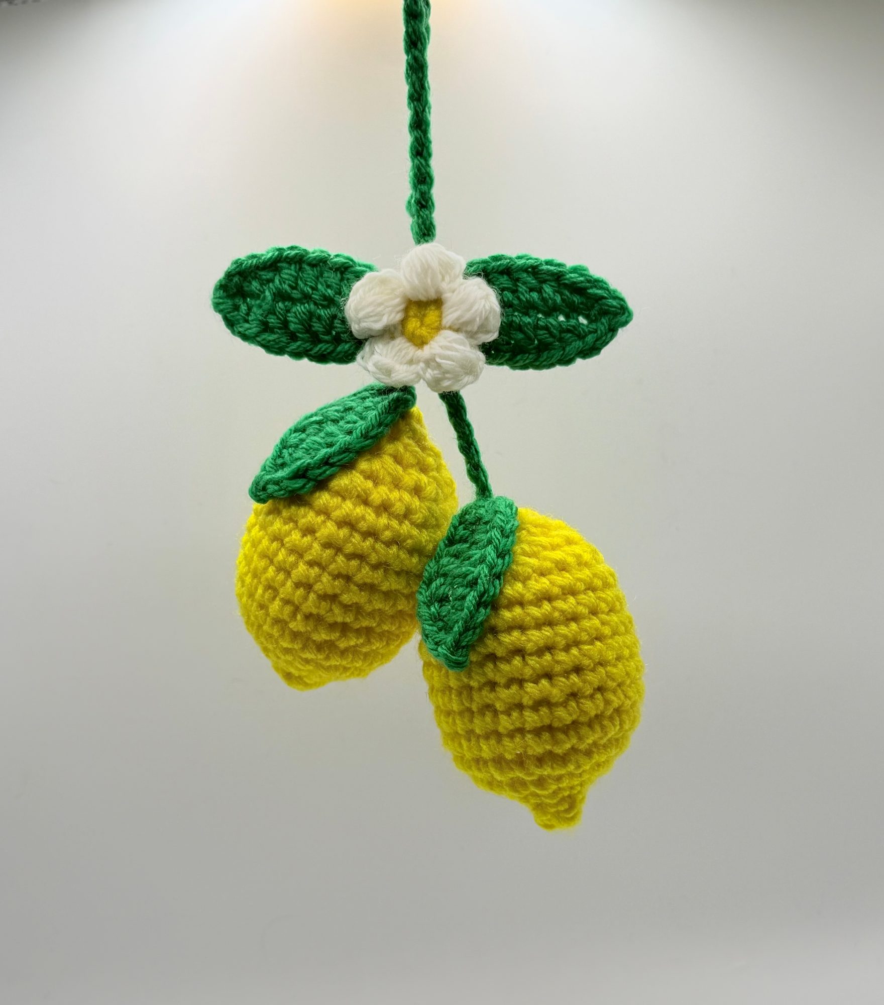Fruit Hanger